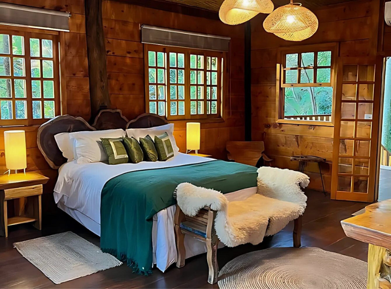 Suíte Casa da Árvore — foto 1