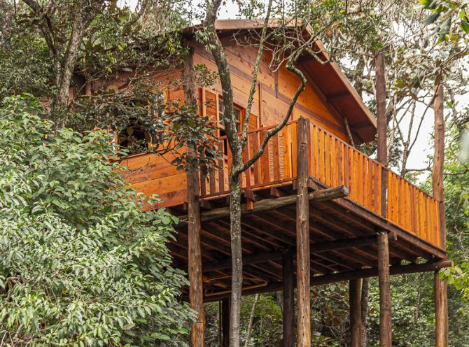 Suíte Casa da Árvore — foto 4
